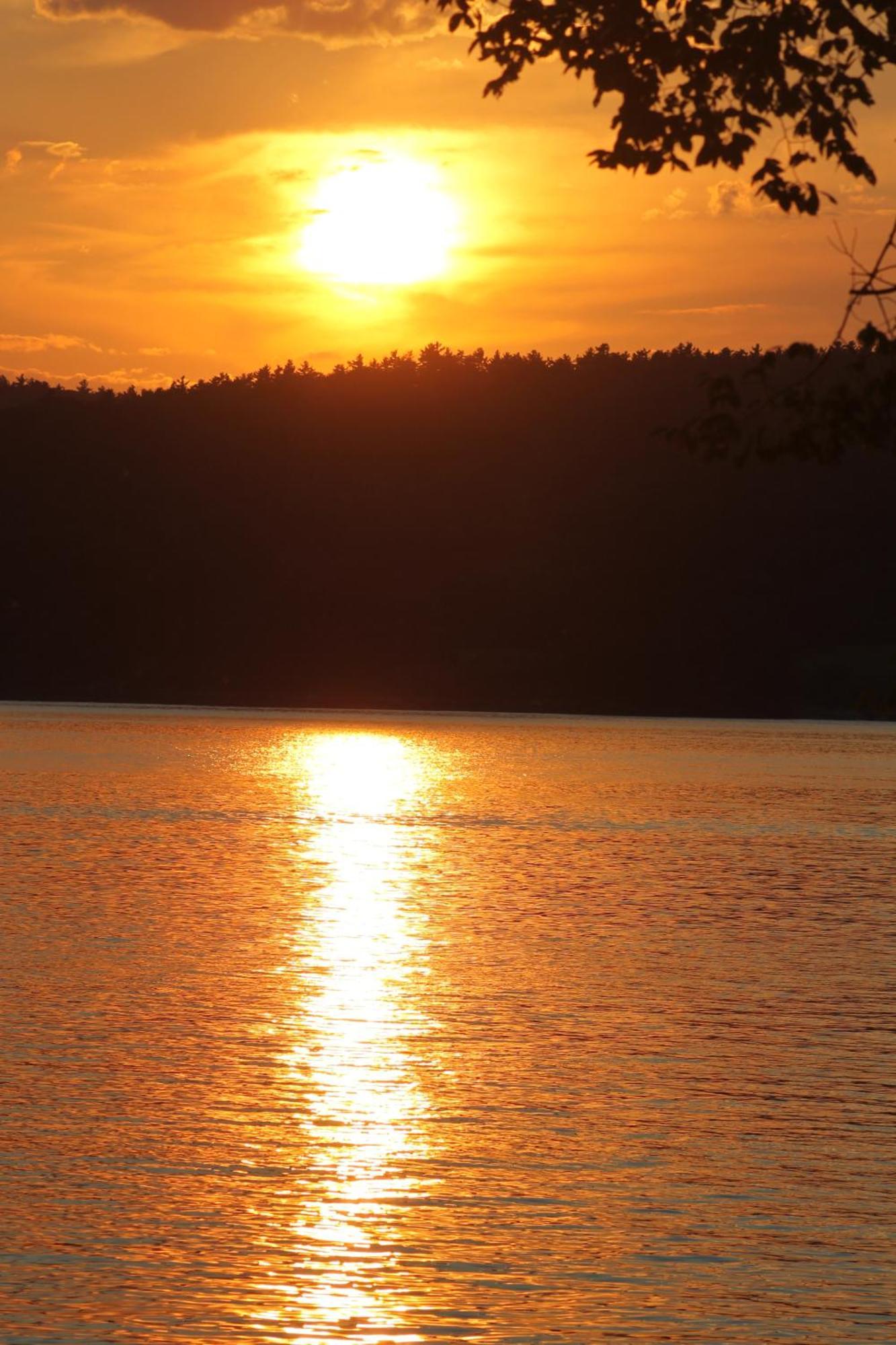 Basin Harbor Hotel Vergennes ภายนอก รูปภาพ
